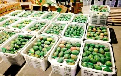 “互聯(lián)網(wǎng)+農(nóng)業(yè)”助推攀枝花西區(qū)優(yōu)質(zhì)農(nóng)產(chǎn)品走向全國(guó)