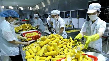 越南充分開(kāi)發(fā)向澳大利亞出口農(nóng)產(chǎn)品的潛力