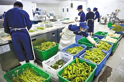 新京報 好新聞，無止境——探索中國農產品背后的故事