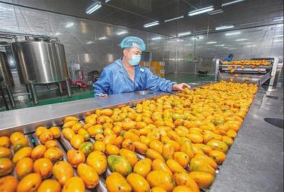 育好物、出爆款、強品牌 打造現代農業價值鏈的三部曲